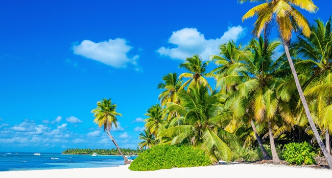 ENAMORATE DE PUNTA CANA!