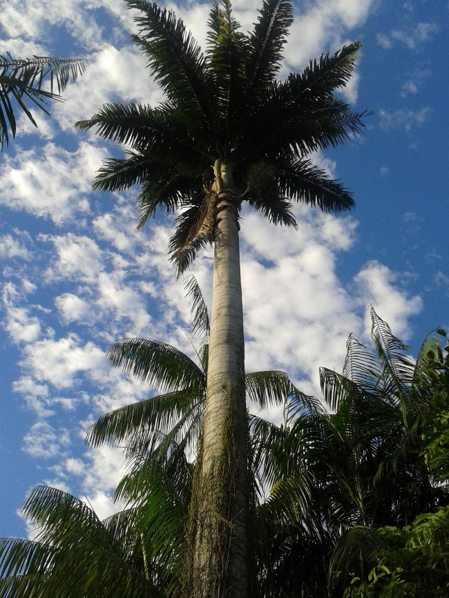BUZIOS
