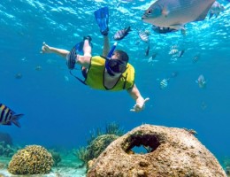 PORTO DE GALINHAS MARZO A JUNIO